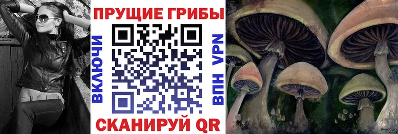 Псилоцибиновые грибы MAGIC MUSHROOMS  Купить где  Всеволожск 